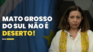 O clima do Mato Grosso do Sul está tão seco quanto o de um deserto [upl. by Kato]