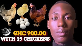 HOW I MADE MY FIRST 3FIGURES IN LOCAL CHICKEN FARMING [upl. by Copp]