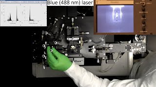 How to set up and align flow cytometer or cell sorter  technical principles of flow cytometry [upl. by Annaor]