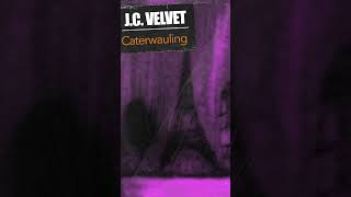 J C Velvet  Caterwauling  Official Vertical Visualizer [upl. by Acirtap787]