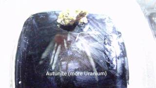 Peltier Cloud Chamber [upl. by Ainahs]