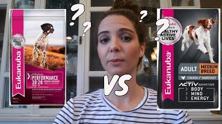 Eukanuba performance vs Eukanuba adult dog food review [upl. by Tuck]