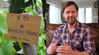 Whats So Special About Côtes du Rhône Wine Pro Explains  WTSOcom [upl. by Aicnarf]