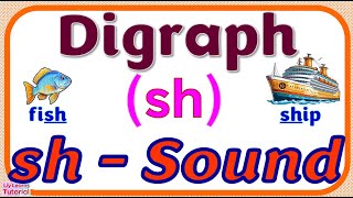 DIGRAPH sh  READING Words amp Sentences with sh Sound Spelt as SH  Liy Learns Tutorial [upl. by Enelyt914]