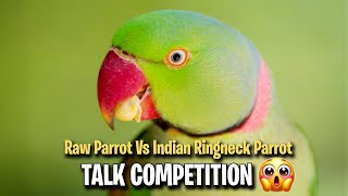 Raw Parrot Vs Indian Ringneck Parrot  Talk Competition [upl. by Airbma]