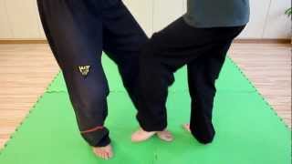 Wing Tsun Chi Gerk  BWTA [upl. by Friedrich]