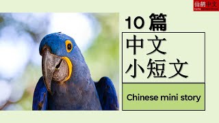 10 Mandarin Chinese mini stories with and without PINYIN 学中文 HSK3 [upl. by Sidnarb189]