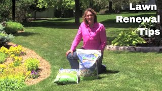 Lawn Renewal Tips [upl. by Sparkie183]