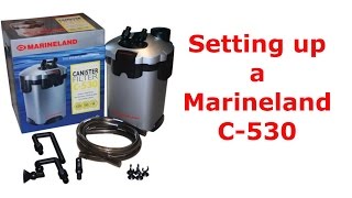 Setting up a Marineland Canister Filter [upl. by Valle]