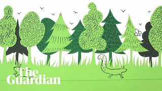 Rewilding made simple an animated guide [upl. by Jr]