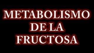 Metabolismo de la Fructosa [upl. by Benedick707]