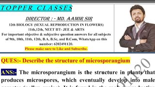 Describe the structure of microsporangium [upl. by Garrity]