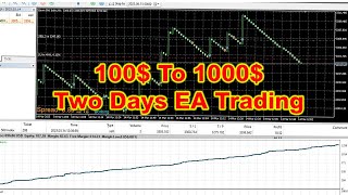 Best Forex Robot EA turn 100 Into 1000 In Two Days  Free Download [upl. by Laural461]