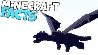 ENDERDRACHE ohne SCHADEN  Minecraft Facts 36 [upl. by Apollus]