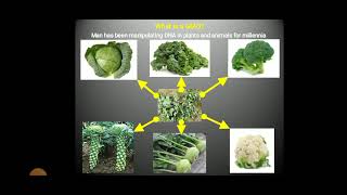 Palaniappan Antibiotics [upl. by Meghan]