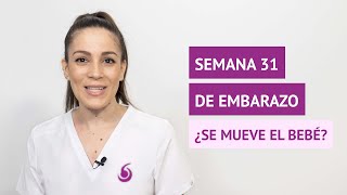 ¿El bebé se mueve mucho en la semana 31 de embarazo [upl. by Bronwen]