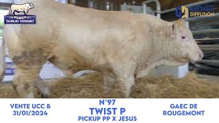 N°97 TWIST P  GAEC de ROUGEMONT  PICKUP PP x JESUS [upl. by Ayaet104]