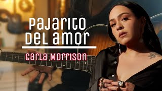 Cómo tocar Pajarito Del Amor  Carla Morrison ft Natalia Lafourcade  Guitarra sin límites [upl. by Lenny]