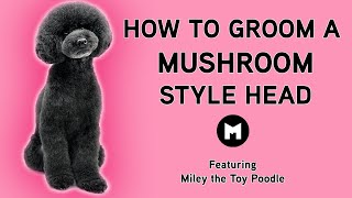 How to groom a mushroom style head [upl. by Waller200]