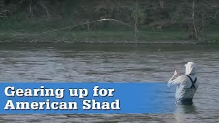 Gearing up for American Shad [upl. by Revkah]