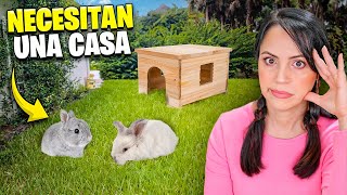 Ahora Hay Que Pensar en una Casa para los Conejitos 🔥 Sandra Cires Vlog [upl. by Suiramed]