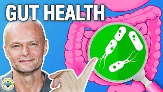 Why Is Gut Health Important  Health and Wellness [upl. by Ainak]