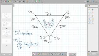 3 ECG Triangle dEinthoven [upl. by Hopper]