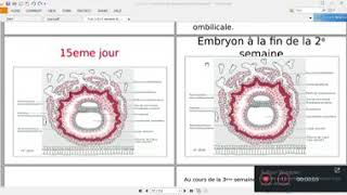 Embryologie  3 semaine  partie 1 [upl. by Dunaville]