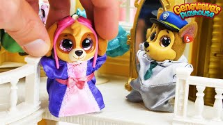 Paw Patrol Go Shopping at the Mall  Toy Learning Video for Kids [upl. by Basset383]