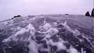 Rough Water Freediving for Abalone in Brookings Or [upl. by Noslien319]