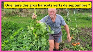 Que faire de vos gros haricots verts de septembre avant quils pourrissent [upl. by Inhoj]