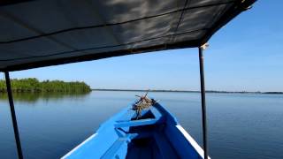 Casamance 2012  Promenade en pirogue dans les bolongs [upl. by Paapanen13]