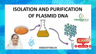 Plasmid DNA Isolation।Alkaline lysis method । Heredity Biosciences [upl. by Florin]