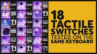 The Ultimate TACTILE SWITCHES Sound Test Compilation  PART 1 [upl. by Sheela]