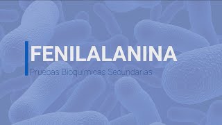 Prueba Bioquímica Fenilalanina [upl. by Sobel]