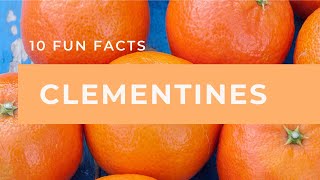 10 Fun Facts About Clementines [upl. by Melicent]