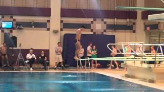 2011 SCAC Swim and Dive Championships Mens 1Meter [upl. by Siulegroj]