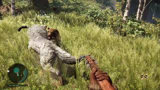 Far Cry® Primal Snowblood Wolf vs jaguar [upl. by Daggett]