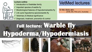 Warble Fly Wars Demystified Tackling Hypodermiasis in Livestock [upl. by Jaimie75]