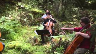 Portland Cello Project  The Doe Bay Sessions 2012 [upl. by Eiramlirpa920]