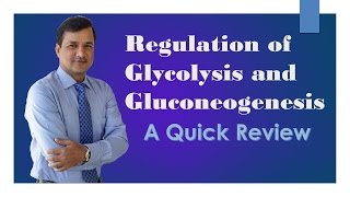 Glycolysis and Gluconeogenesis Regulation [upl. by Carleton]