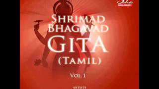 Bhagavad Gita  Chapter 02 Complete Tamil translation [upl. by Hameean768]