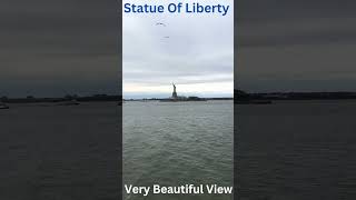 Statue Of Liberty Very Beautiful View [upl. by Livesay]