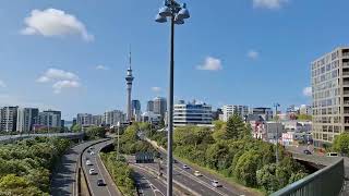 Mayoral Drive To Ponsonby Road Western Park Walking Tour In Auckland New Zealand [upl. by Corliss]