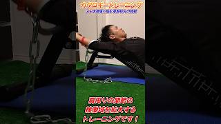 元プロ野球選手が考案のトレーニング！肩痛から復活計画！ [upl. by Lekim]