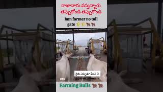 Iam farmer no toll gate 🌾🌾🐂🐂 [upl. by Aerdnaxela]