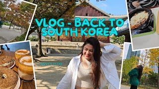 Vlog Volví a COREA DEL SUR Me enfermé HAUL de SKINCARE Adaptándome a mis días en Seúl 😊🇰🇷 [upl. by Nylanna662]