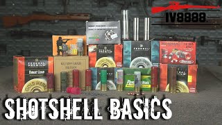 Ammo For Beginners Shotshell Basics [upl. by Allimaj]