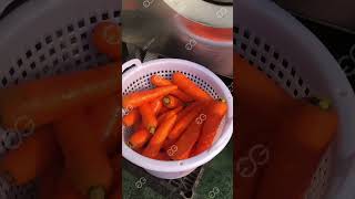 Multifunction Vegetable Washing Machine [upl. by Nywde]