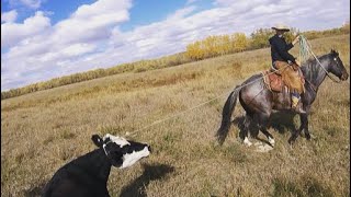 Cowboyin in Canada [upl. by Naved556]